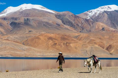 Trek le long du lac Tsomoriri au Ladakh