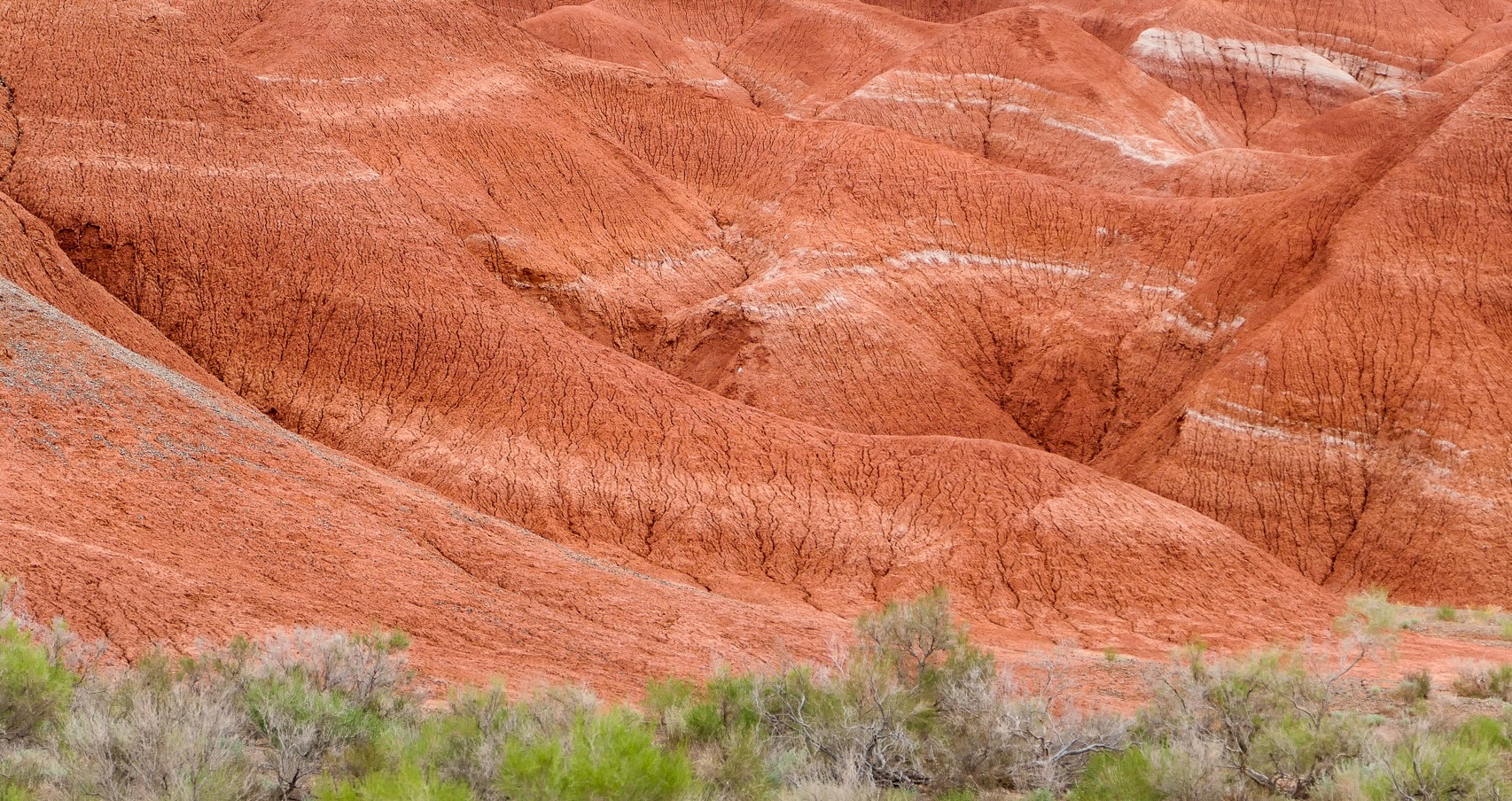 Altyn, montagnes blanches