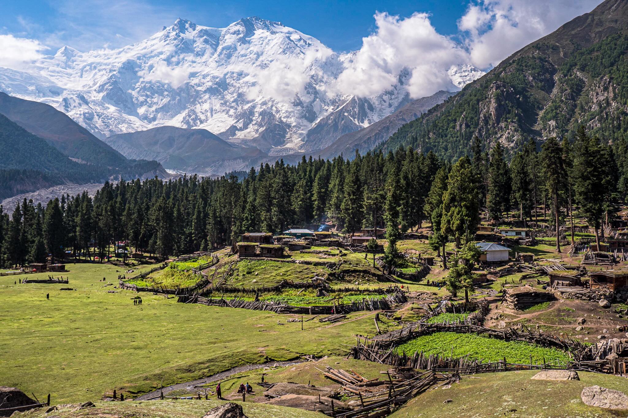 Fairy Meadows au pied du Nanga Parbat