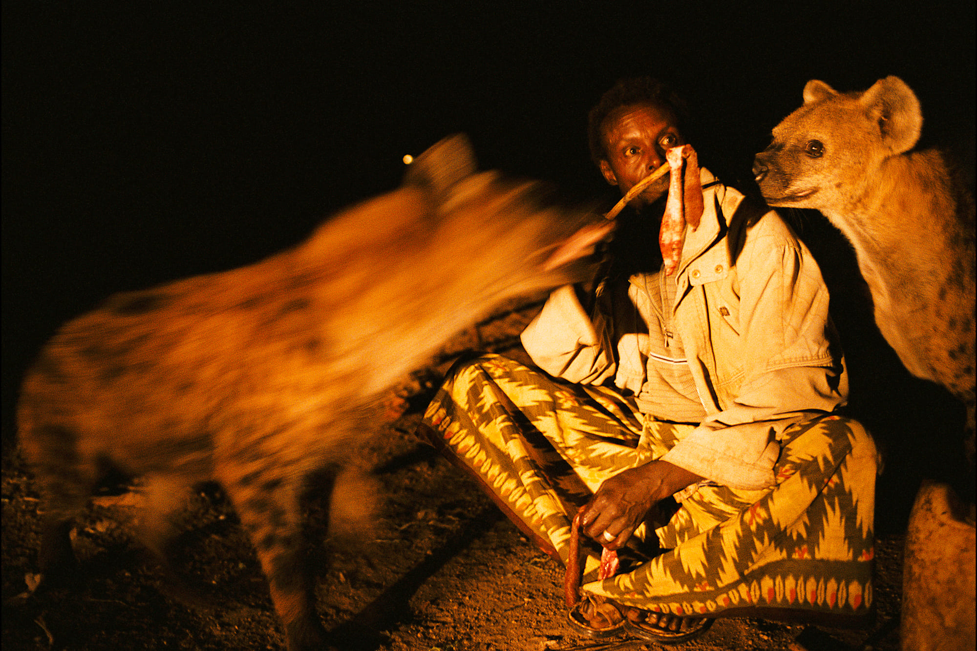 Le repas des hyènes d'Harar