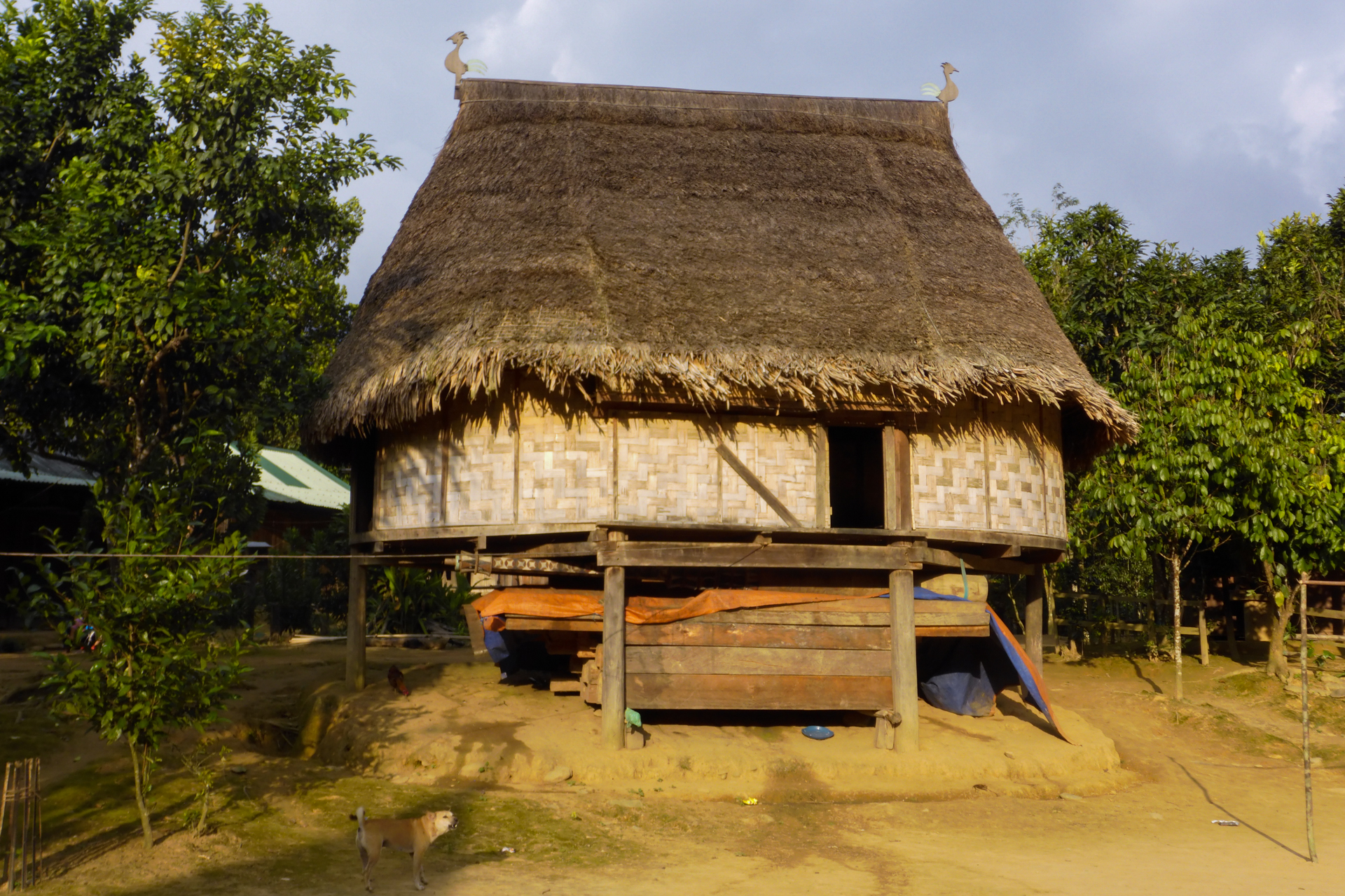 Maison traditionnelle des Katu près de la frontière laotienne