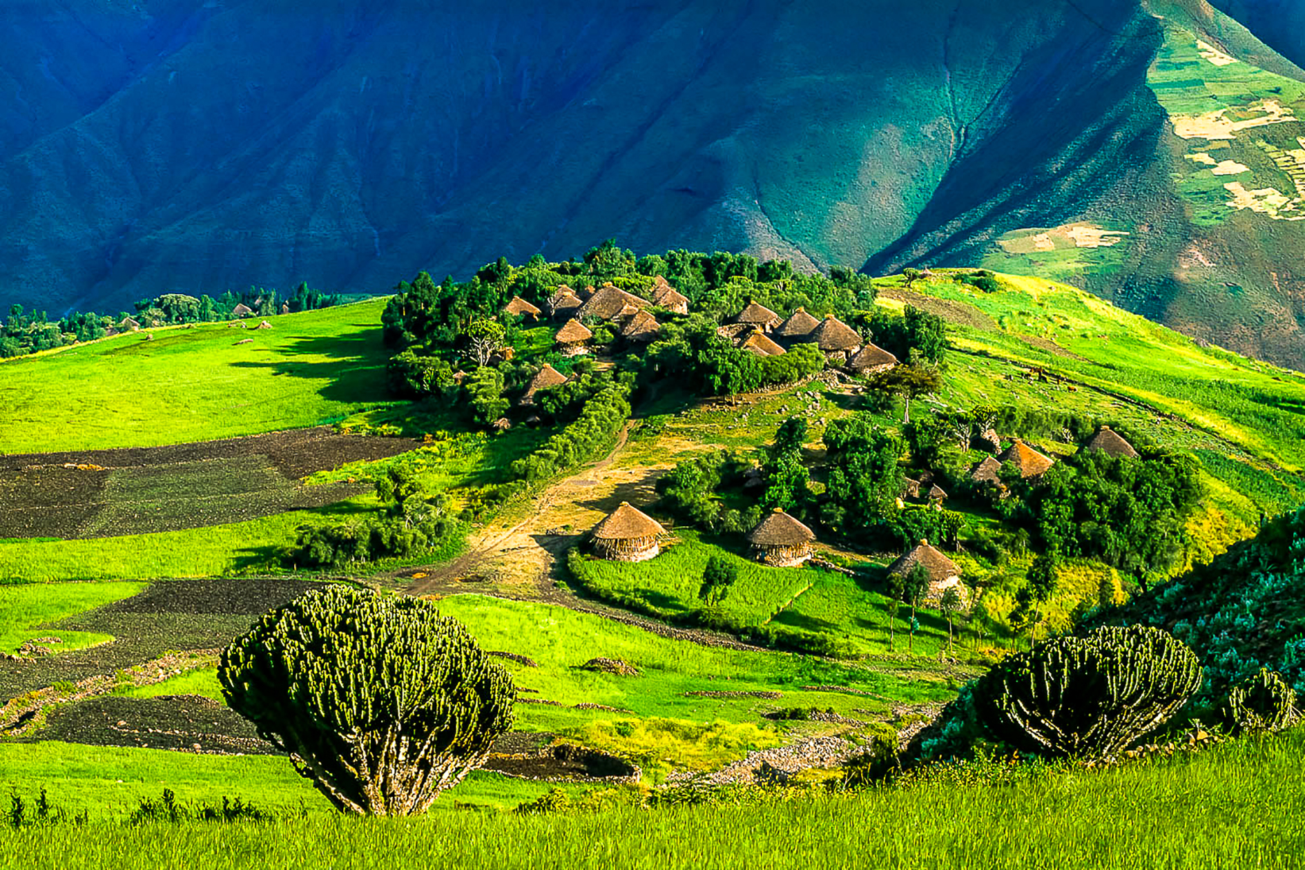 Paysage d'Abyssinie