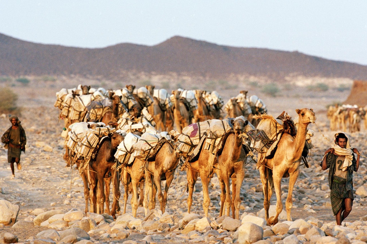 Dans le Danakil