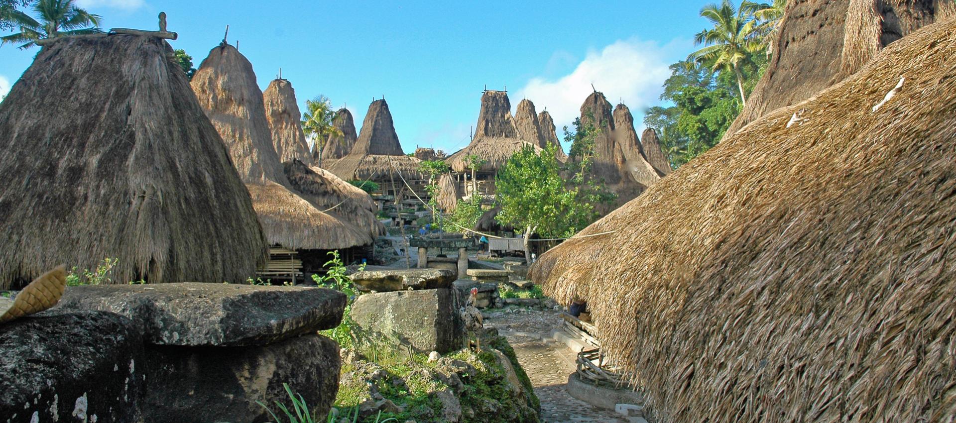 Peuples et volcans des îles de Sumba et Flores