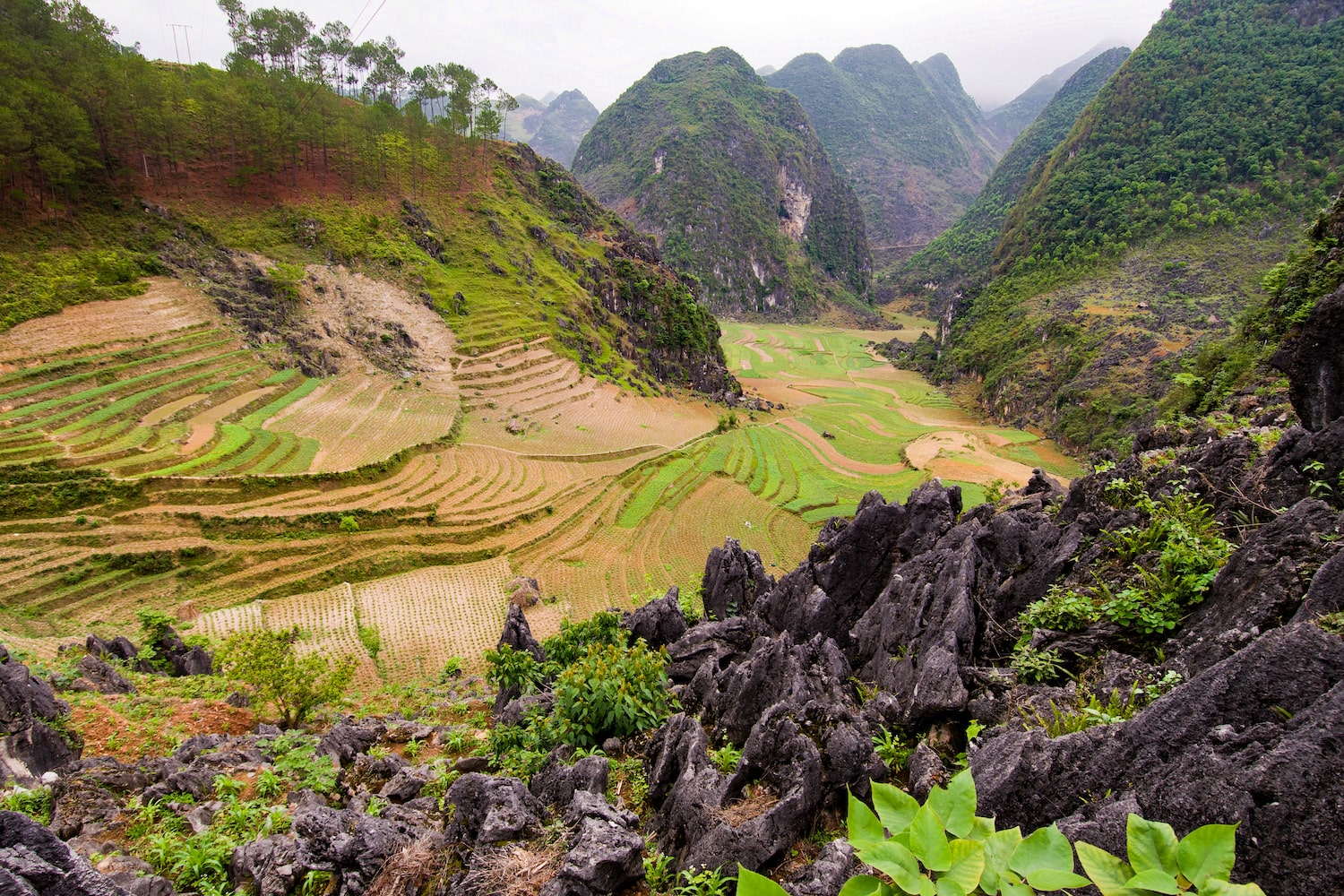 Paysages katarstiques au Vietnam 