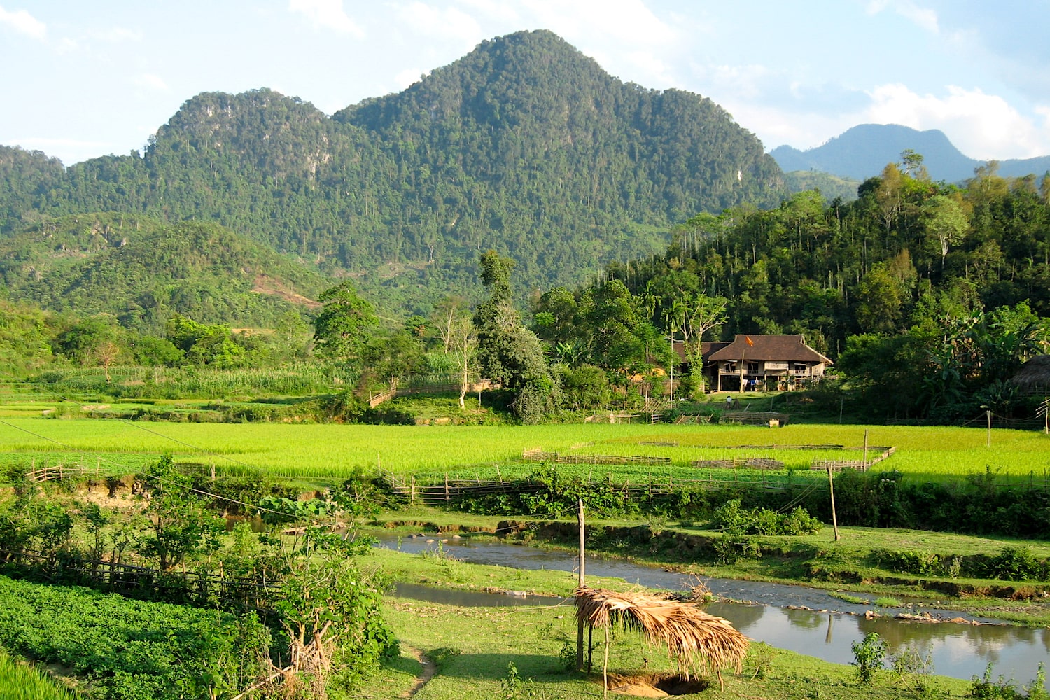 Rizières et paysage karstique au nord Vietnam © Jérôme Kotry