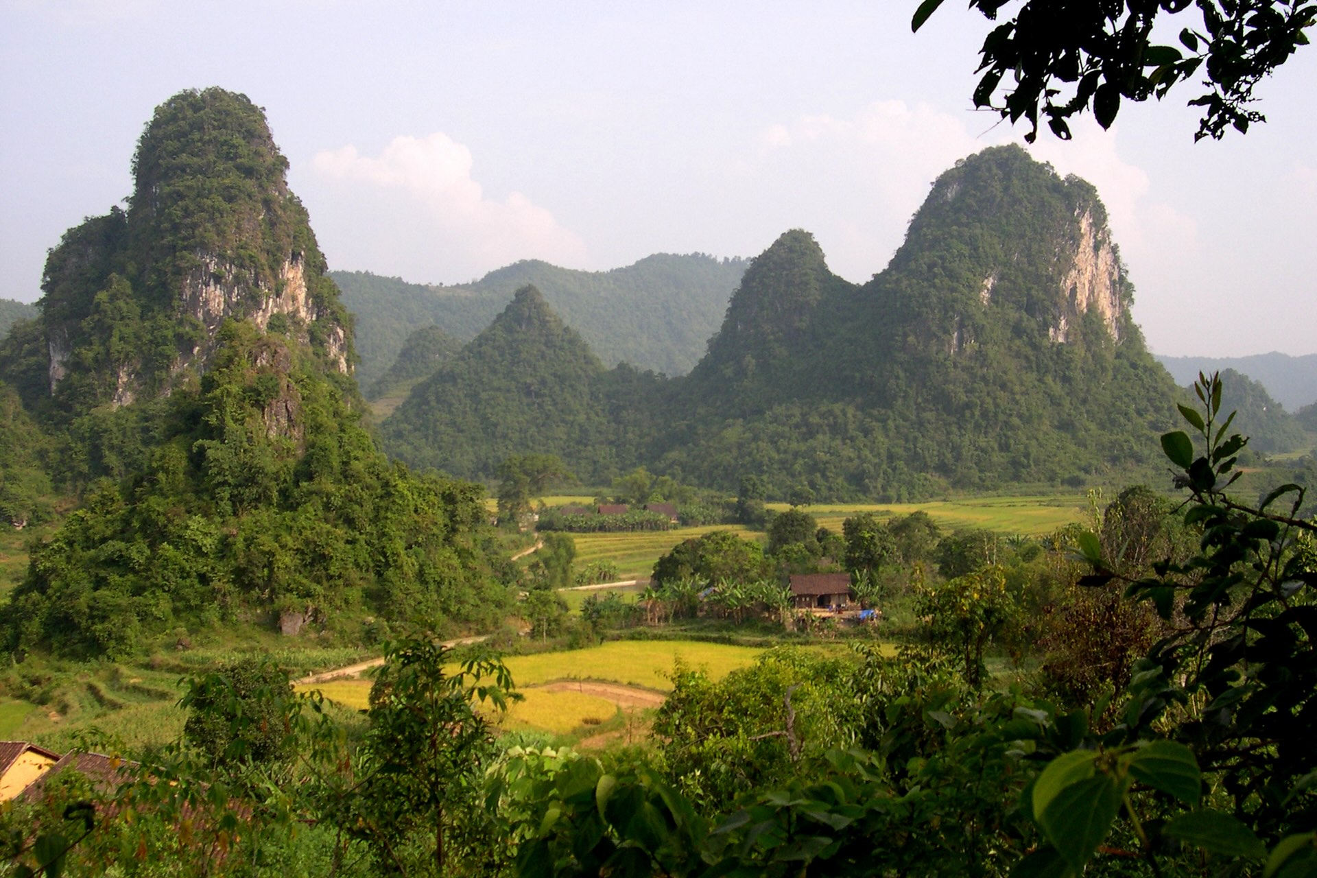 Montagnes vietnamiennes