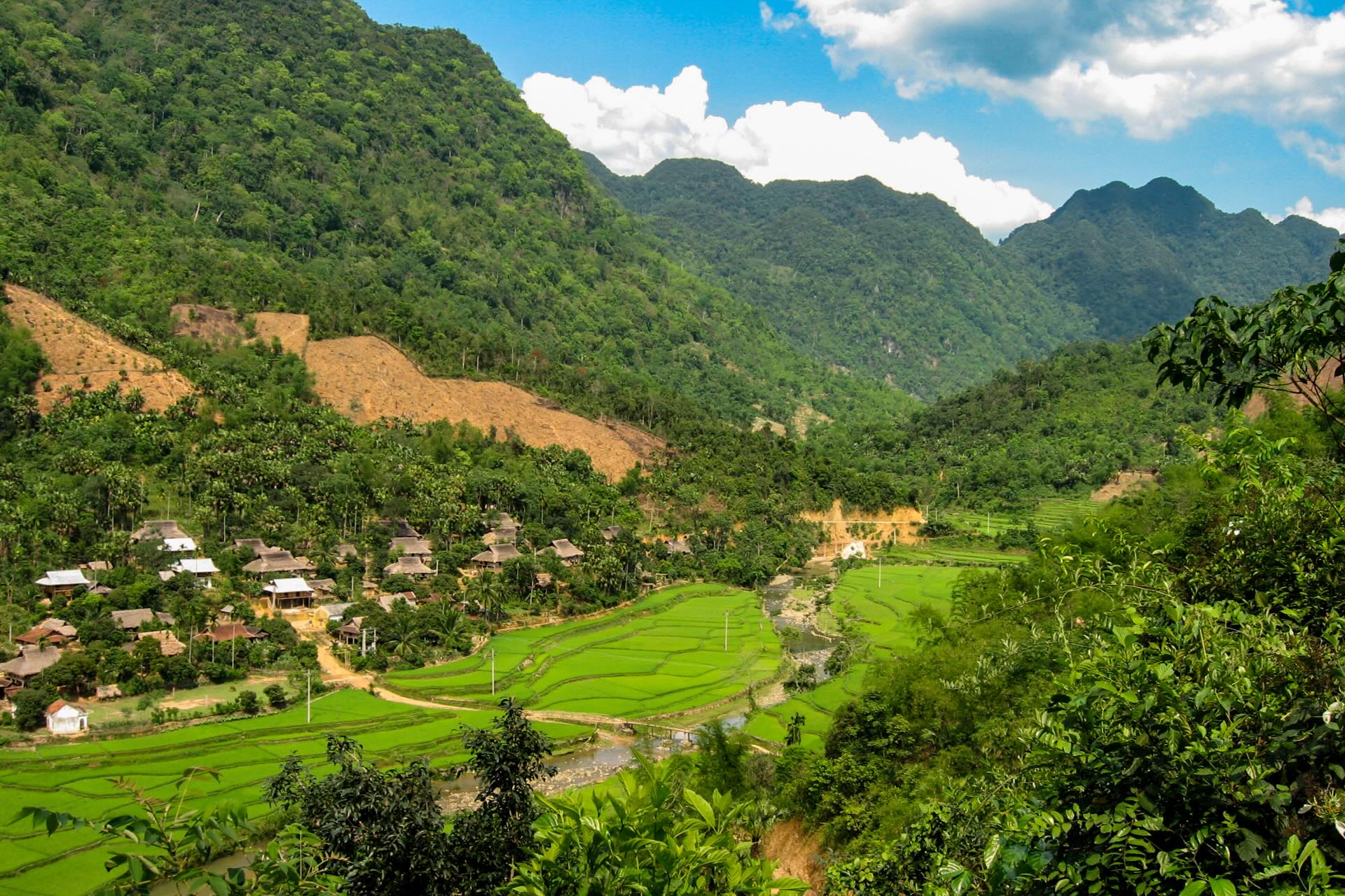 Montagnes vietnamiennes