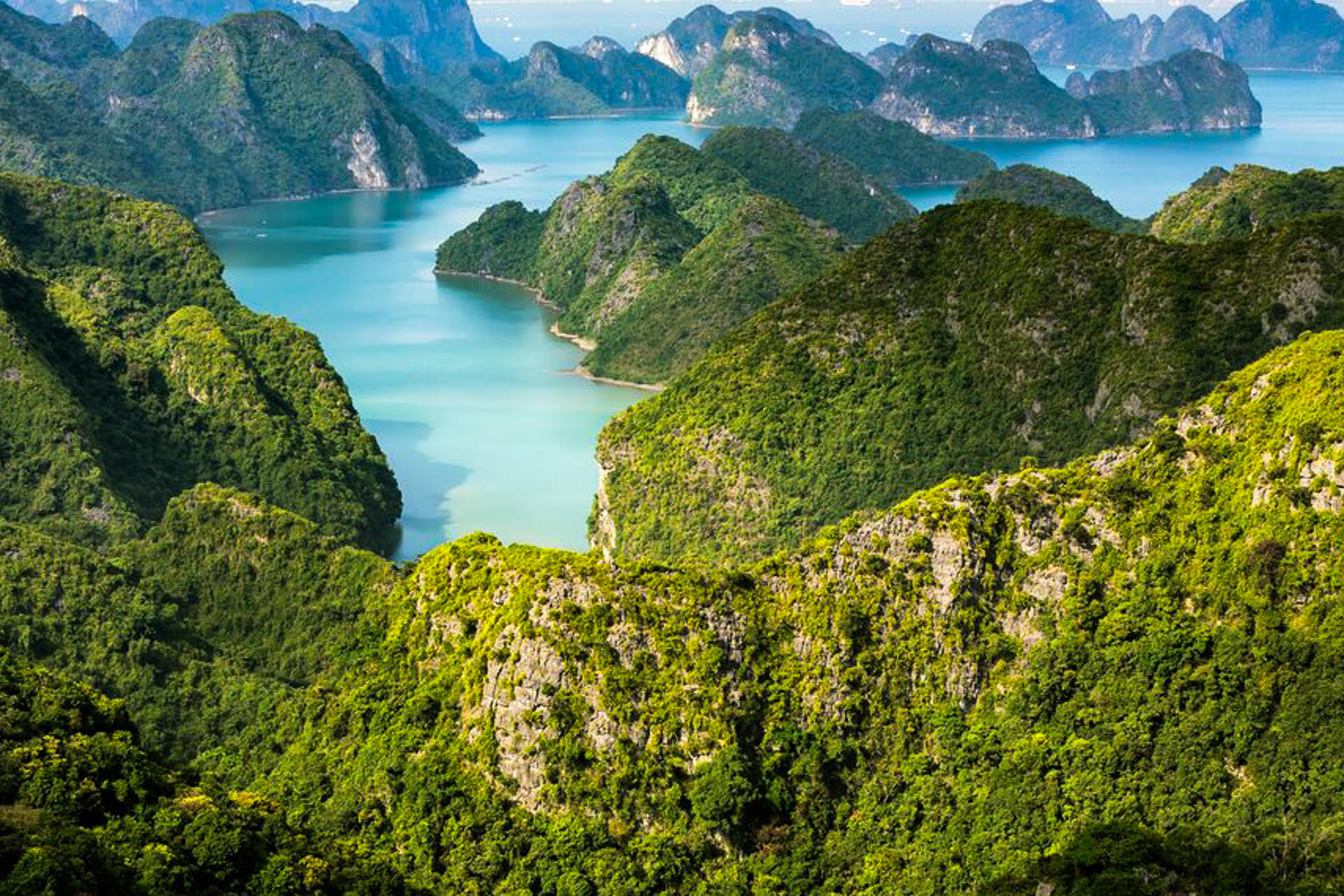 Vue aérienne depuis un sommet de l’île de Cat Ba