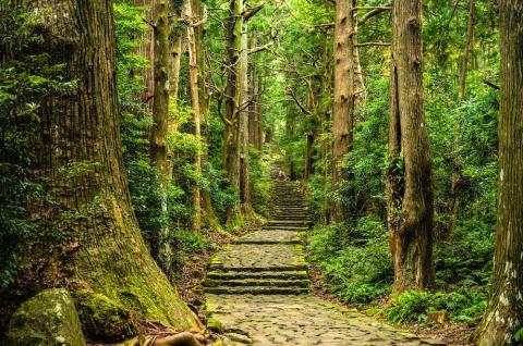 Kii peninsula, Japan