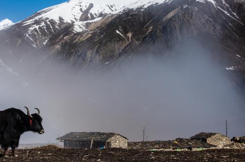 Village de Samdo, tour du Manaslu au Népal