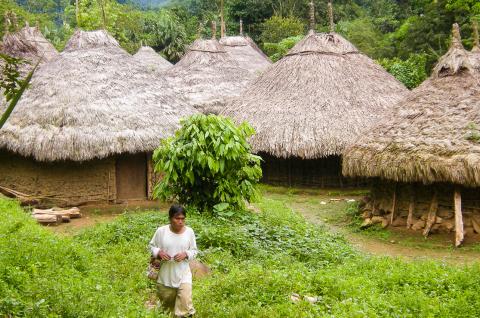 Village Kogi en Colombie