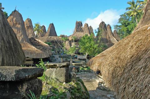 Randonnée vers un village traditionnel sumbanais sur l'île de Sumba