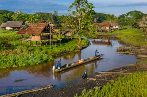 Voyage vers la région du fleuve Sepik du côté d'Angoram