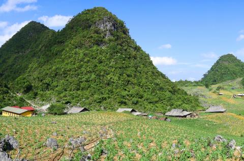 Trekking dans le massif de Thong Nong tout au nord du Vietnam