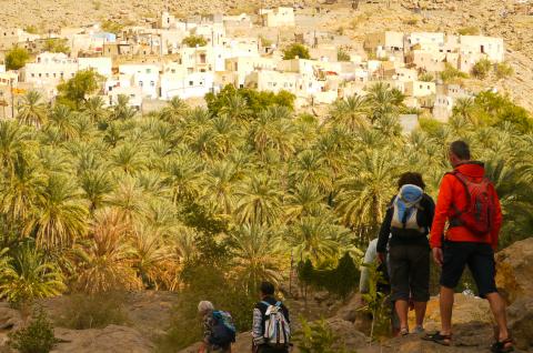 Trekking vers la palmeraie de Bidah le long du wadi Bani Khalid