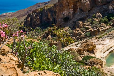 Comtemplation d'un paysage ouvrant sur la Mer d'Arabie à Homlil