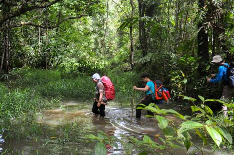 Trekking entre Long Pasia et Long Semadoh entre Sabah et Sarawak