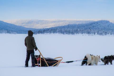 Voyage en traineau et ambiance nordique en Laponie