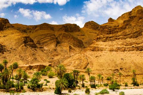 Trek autour d'un massif dunaire dans le Sahara