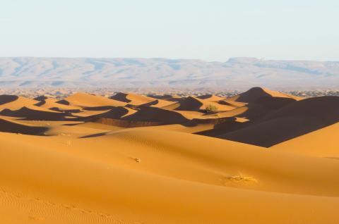 Trek dans des dunes da la vallée du Draa