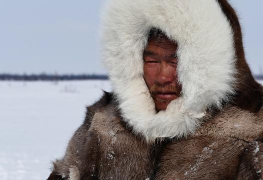 Voyage et immersion chez les Nénètses de Sibérie