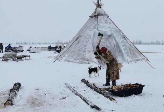 Voyage découverte avec les Nénètses de Sibérie