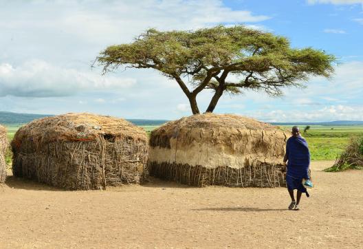 Voyage et habitation local des Masaï au Kenya