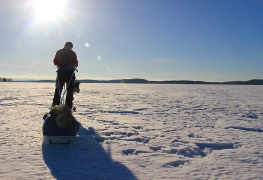 Expédition polaire sur le lac Inari en Finlande