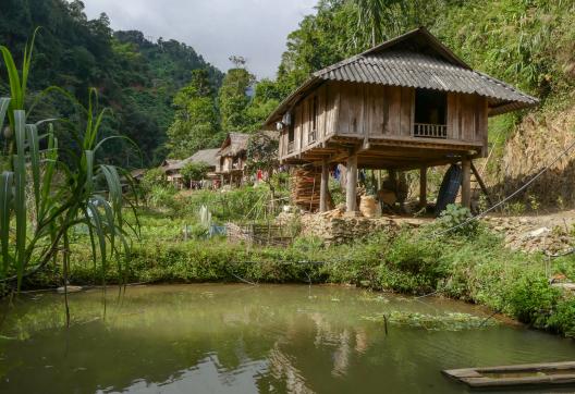 Trek vers un village de la région de Mai Chau non loin de la frontière laotienne