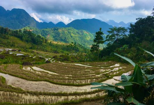 Trekking à travers montagnes et rizières dans la région de Mai Chau