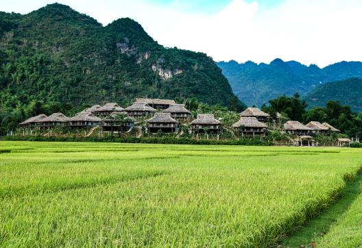 Voyage vers la vallée de Mai Chau, non loin de la frontière laotienne
