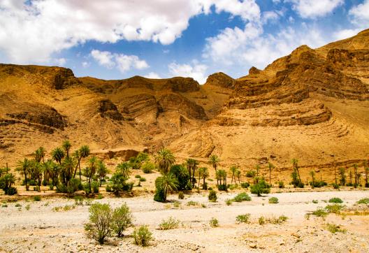 Trek autour d'un massif dunaire dans le Sahara