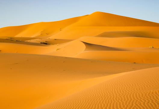 Trek sur des dunes ocres au Maroc