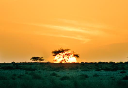 Randonnée au coucher de soleil dans l'erg chegaga