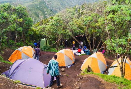 Bivouac et ascension du Kilimandjaro