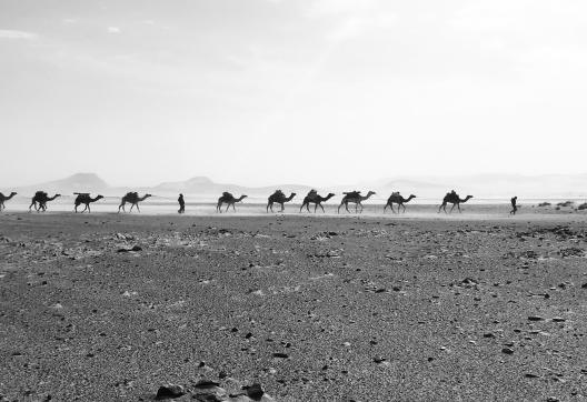 Voyage et caravane sous une tempête de sable