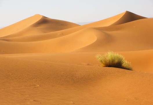 Trekking sur des dunes au oranges à Merzouga