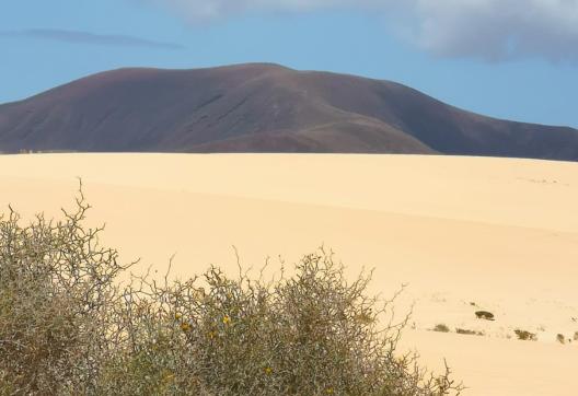 Trekking près d'une montagne dans le désert de Merzouga