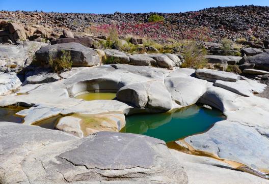 Voyage près d'une guelta dans l'Atakor