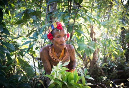 Trekking pour la cueillette en forêt avec un chaman mentawaï sur Siberut
