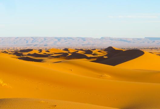 Trek dans des dunes da la vallée du Draa