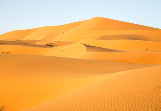 Trek sur des dunes ocres au Maroc