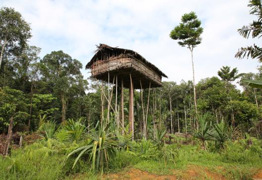 Randonnée vers une maison perchée chez les Kombay