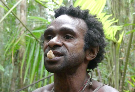 Dégustation d'un ver de sagouttier en forêt du sud de la Papouasie