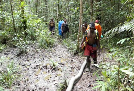 Trekking à travers la forêt marécageuse du sud de la Papouasie