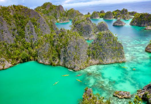 Voyage à travers les îlots karstiques du nord de  Raja Ampat