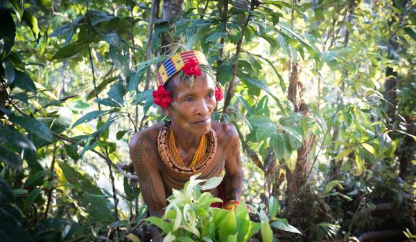 Cueillette en forêt avec un chaman en Indonésie