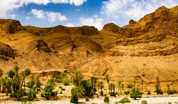 Trek autour d'un massif dunaire dans le Sahara