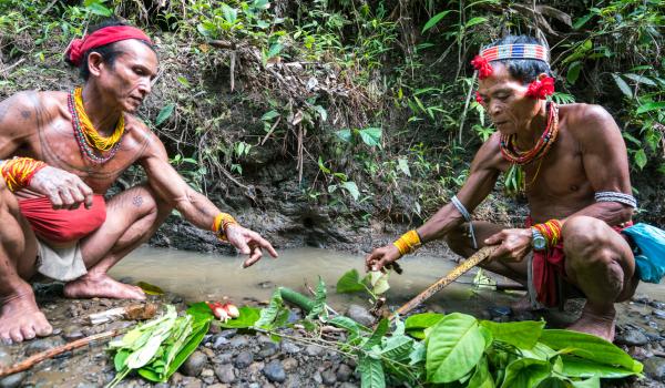 Randonnée avec des chamans mentawaï en forêt sur Siberut